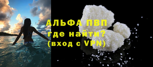 прущий лед Богданович
