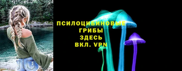 прущий лед Богданович