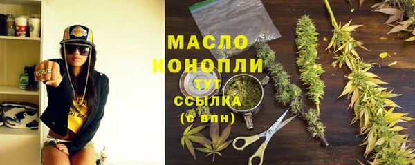 прущий лед Богданович