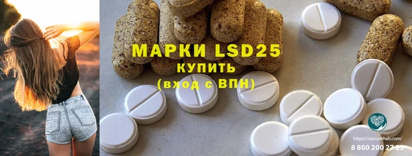 прущий лед Богданович