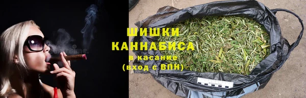 прущий лед Богданович
