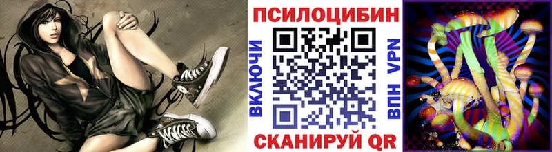 Купить закладки  Лениногорск  Галлюциногенные грибы MAGIC MUSHROOMS 